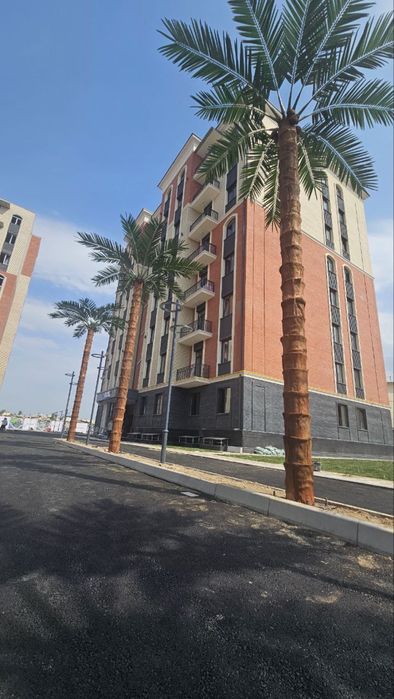 Суний пальма — премиум сифат. Республика бўйича етказиб бериш