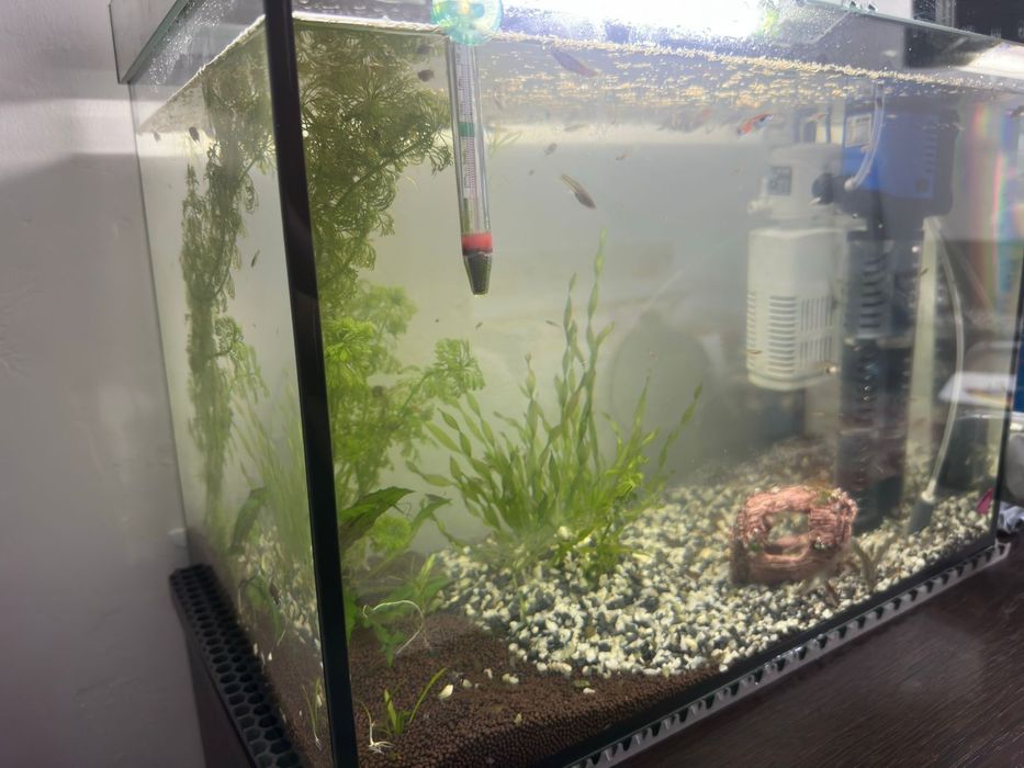 Продам аквариум с рыбками