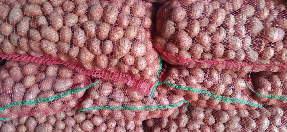 Cartofi pentru animale ,0,60