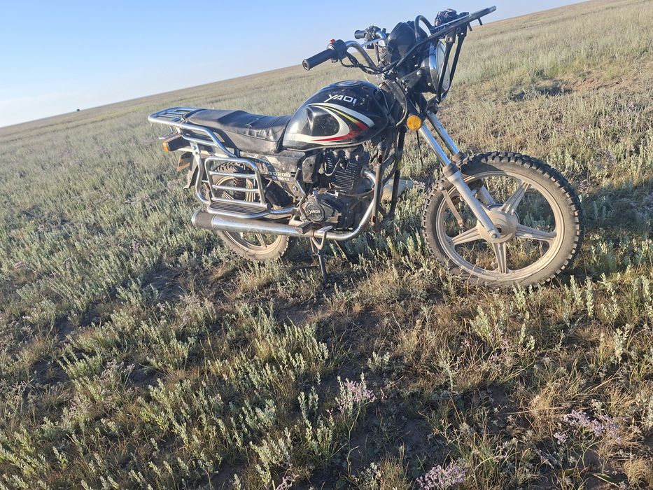 Яки 200 куп сатылады