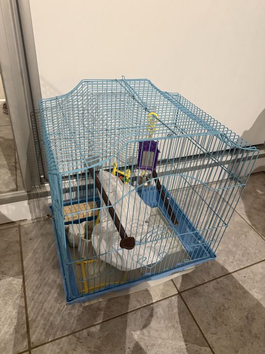 Cusca papagali cu accesorii