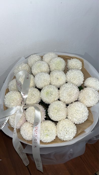 Момоко цветы свежий