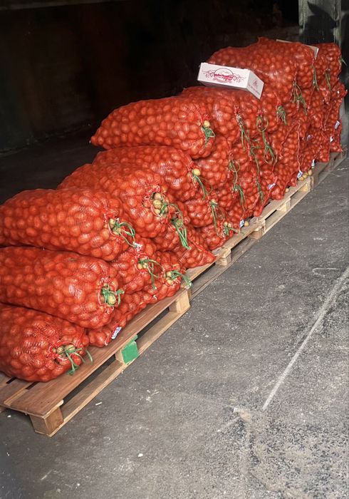 Картошка мешками