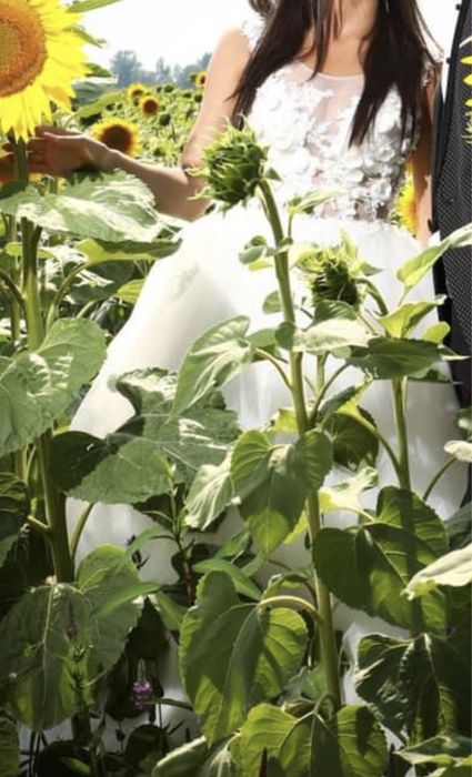 Rochie mireasa colectia Elegance