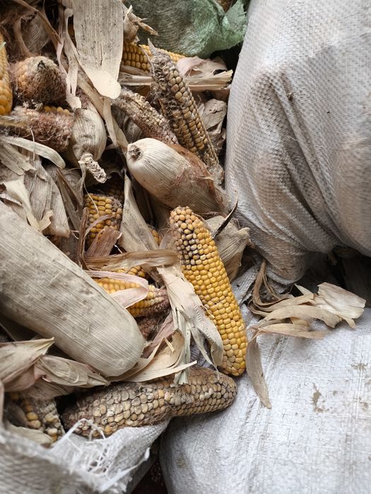 Макка уткан йилки