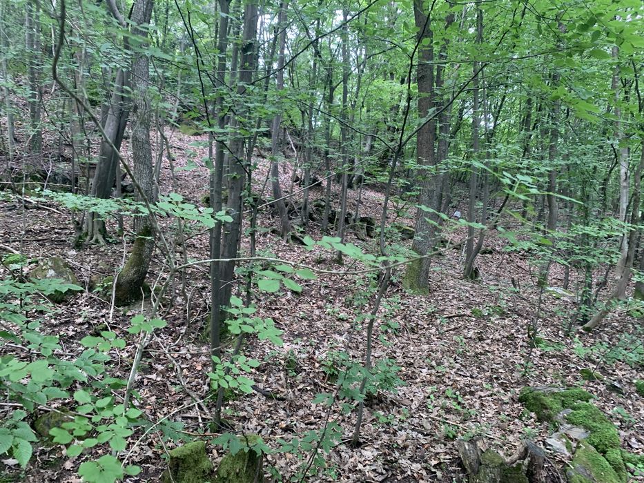 Село Желен парцел