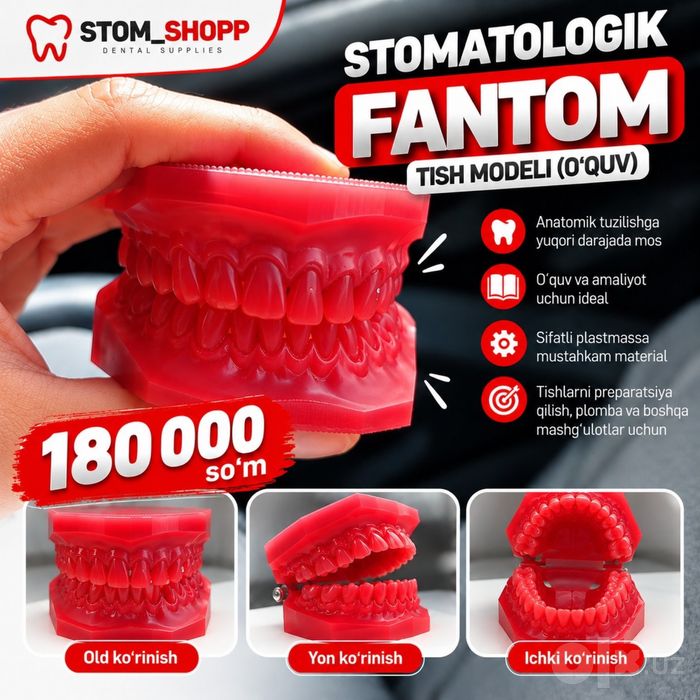 Stom Tish modeli