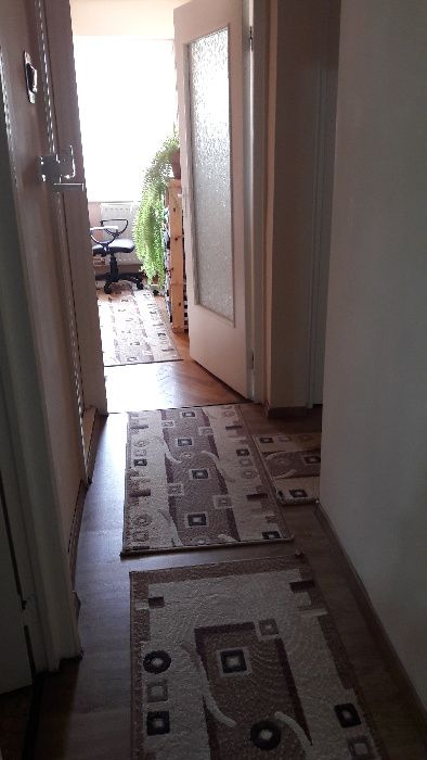 Apartament 3 camere