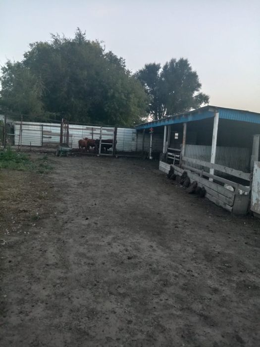 Продам дом от города 100км