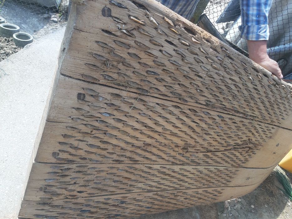 Диканя в автентичен вид