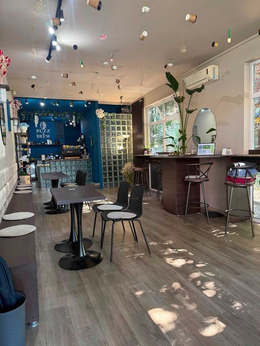 Afacere la cheie Specialty Coffee