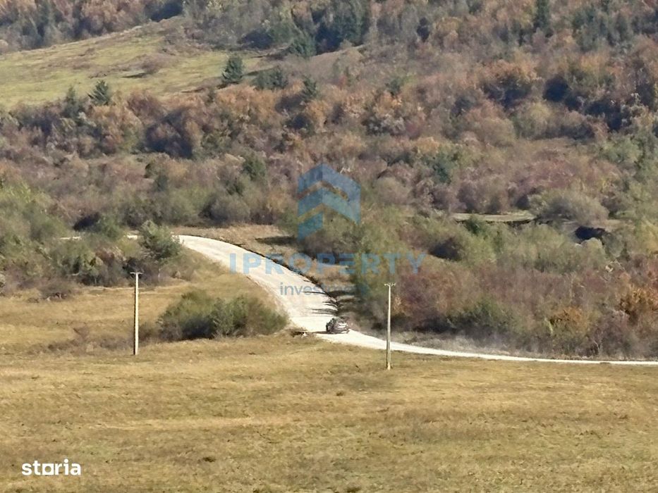 Teren |  1 ha |  Pastravarie |  Pensiune | Complex Agrement