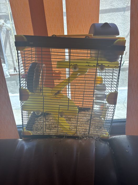 se vinde cusca cu 2 hamsterii au cateva lunii..