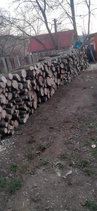 Lemne de foc la 320 lei metru esență tare cu transport gratuit