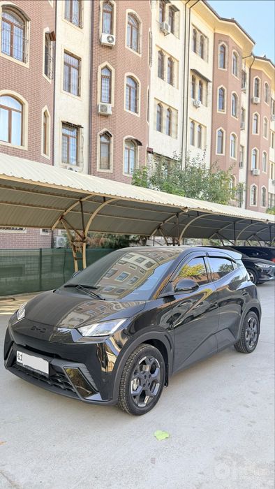 Byd sigul Seguall 2025/24