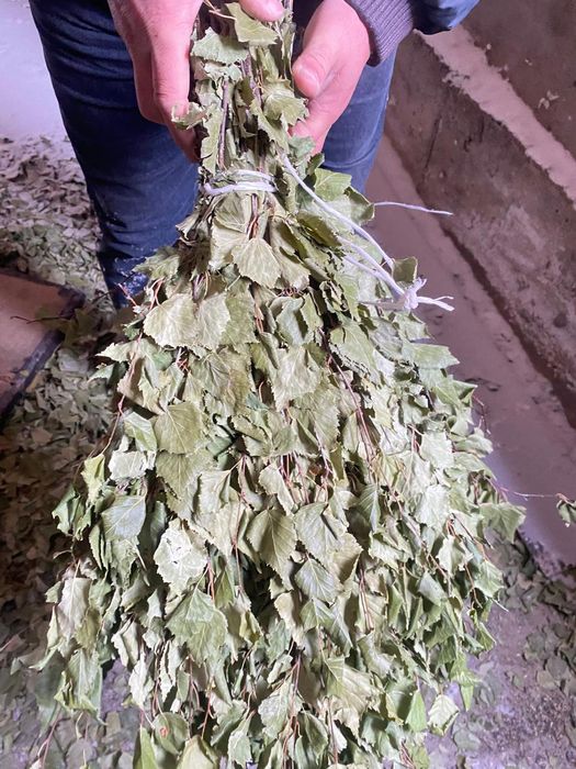 Веник берёза мошный