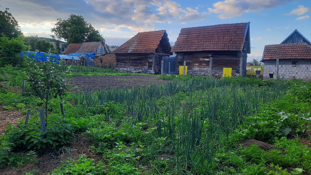 Casa la cheie in Mihaiesti com. Dobra