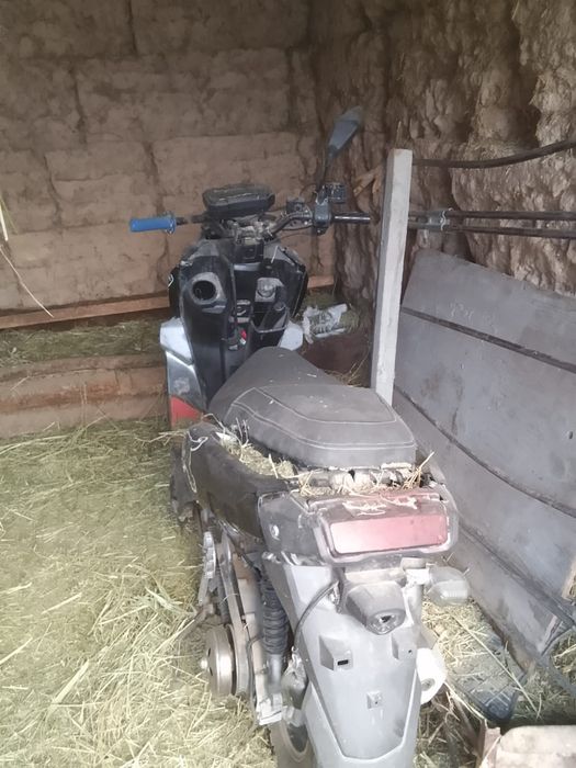 Скутер,  мопеды .