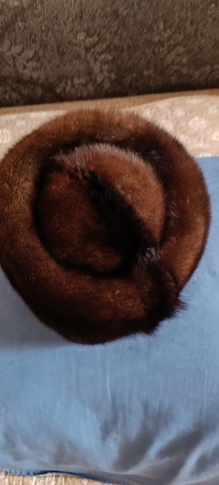 Продам кубанька Алтайский норка!