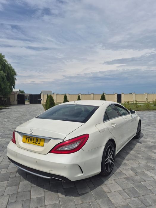 Aripa/Aripi Mercedes CLS W218