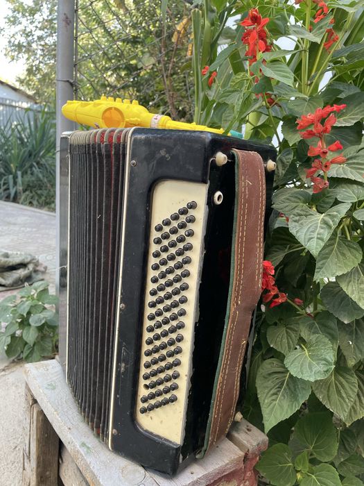 Аккордеон сатылады