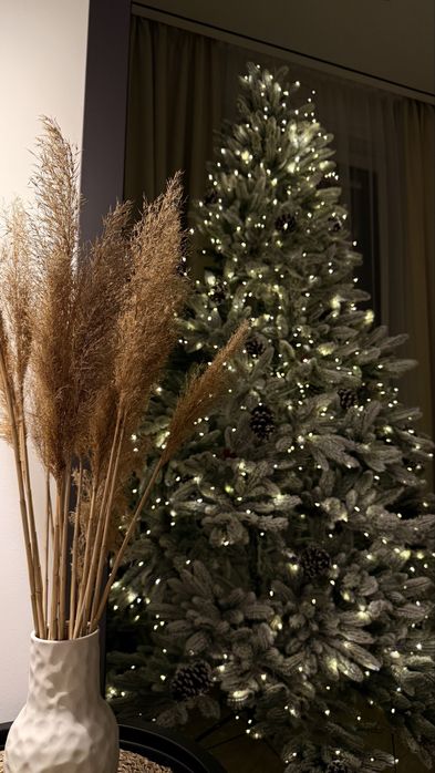 елка 2,50 метра