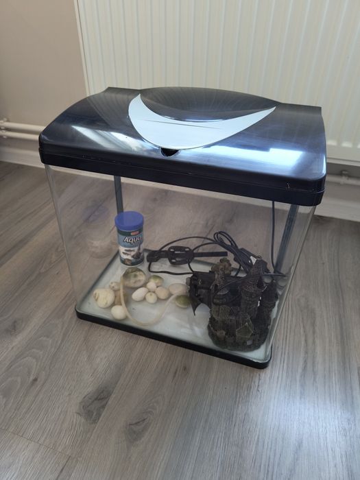 Acvariu 30 l / capac și accesorii
