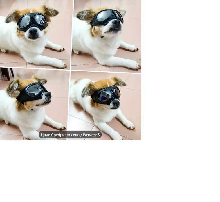 Слънчеви / Предпазни очила за куче