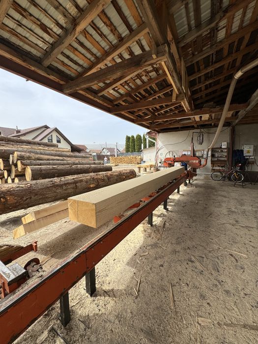 Vand cherestea/grinzi molid!