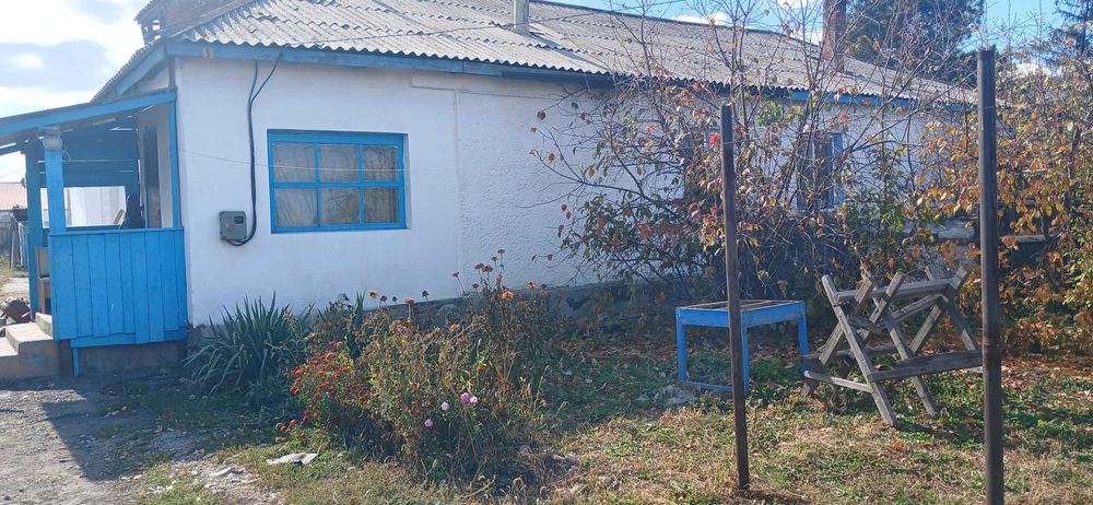 Продам дом в Новоявленке