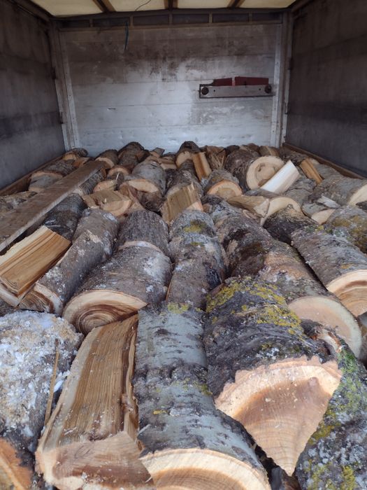 Lemne de foc, buștean