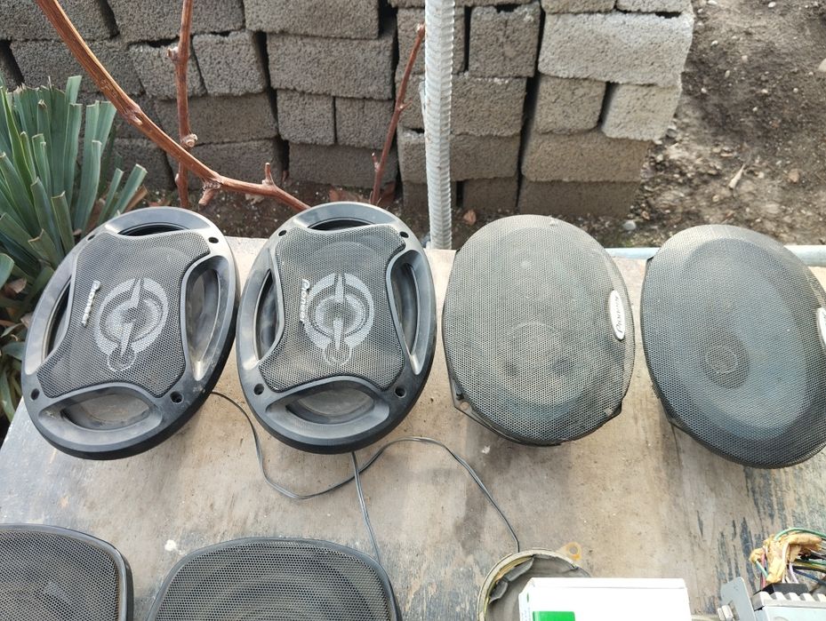 Kalonka kalonka kalonak