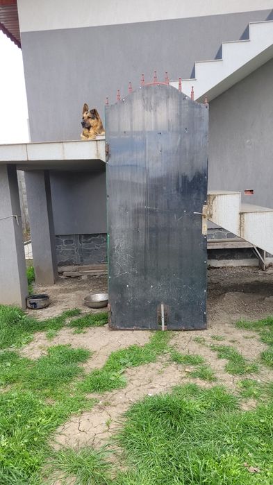 Poarta metalica acces .