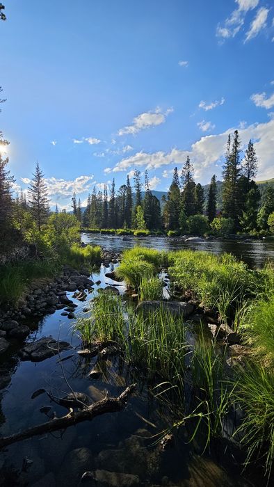 Мед с Катон-Карагая ВКО