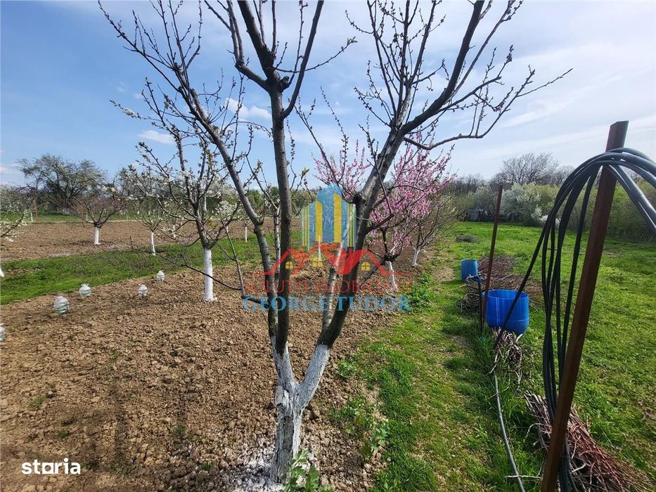 Vanzare casa Bolintin Vale Suseni 104