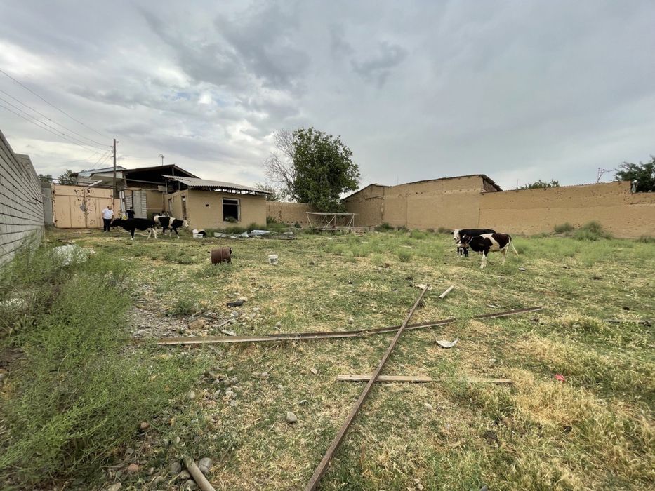 Tolabeda joylashgan 8 sotik yer