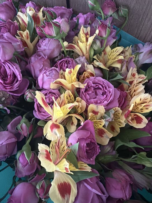 Продам цветы новые