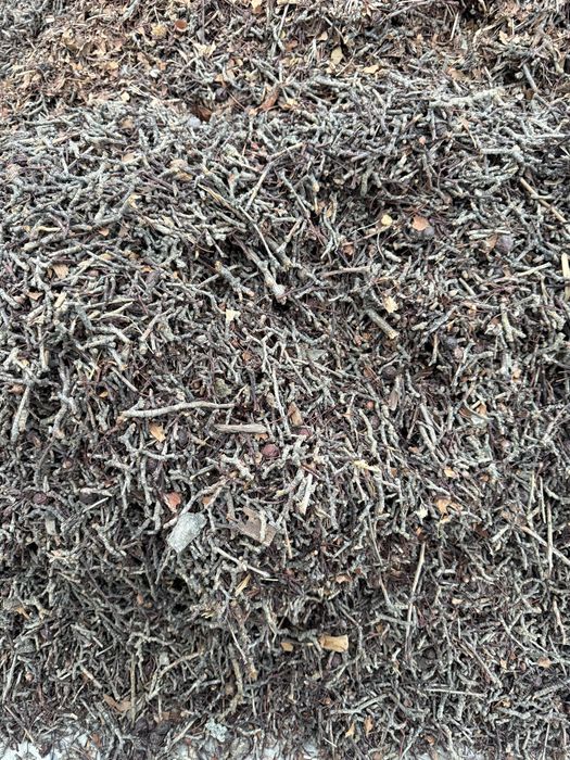 Otin Topondanam yaxshi yonadi