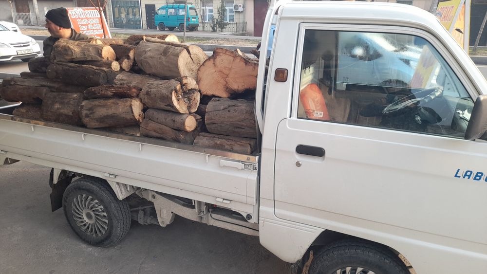 Utin sotiladi. Утин сотилади.лабода