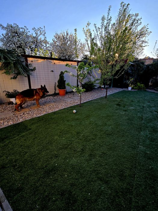 Vând casă zonă centrală