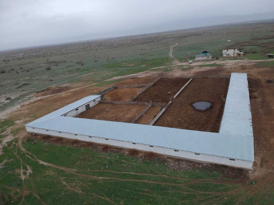 Земельный участок