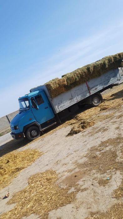 Зил бичок сатылады