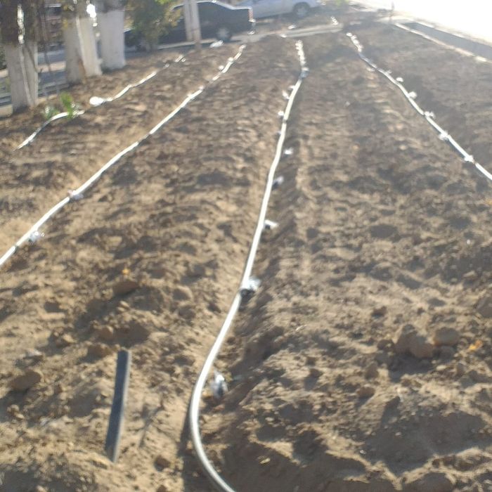 Газон және Автополив жасаймыз.
