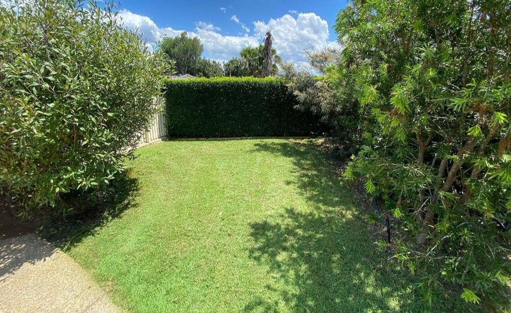 Поддръжка на дворове - Пловдив и региона