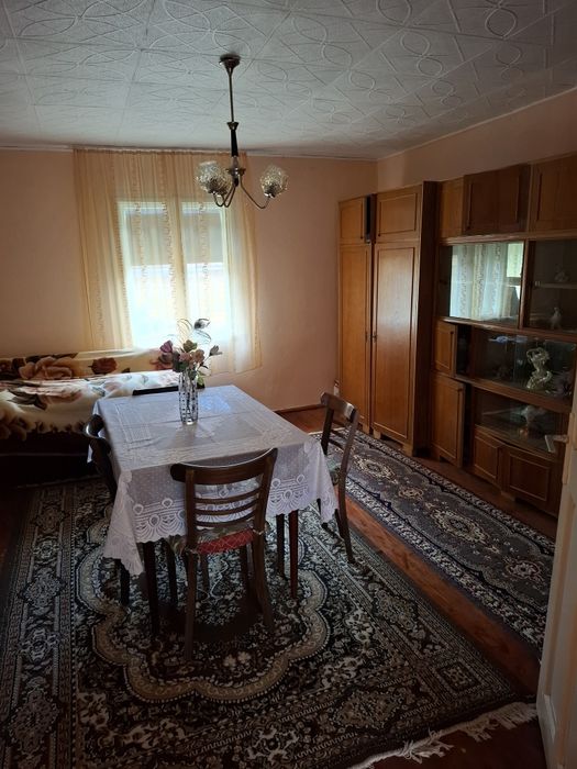 Vand casa Plescuta
