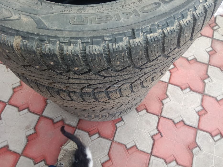 Продам шины зимные