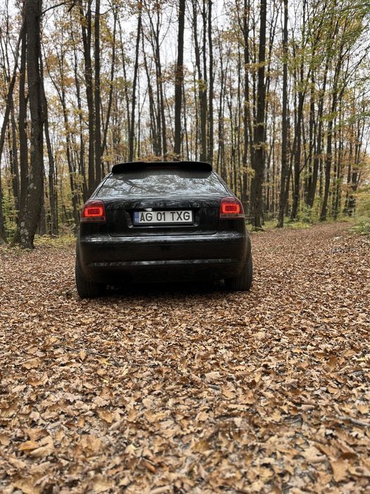 Vand/Schimb audi a3 8p