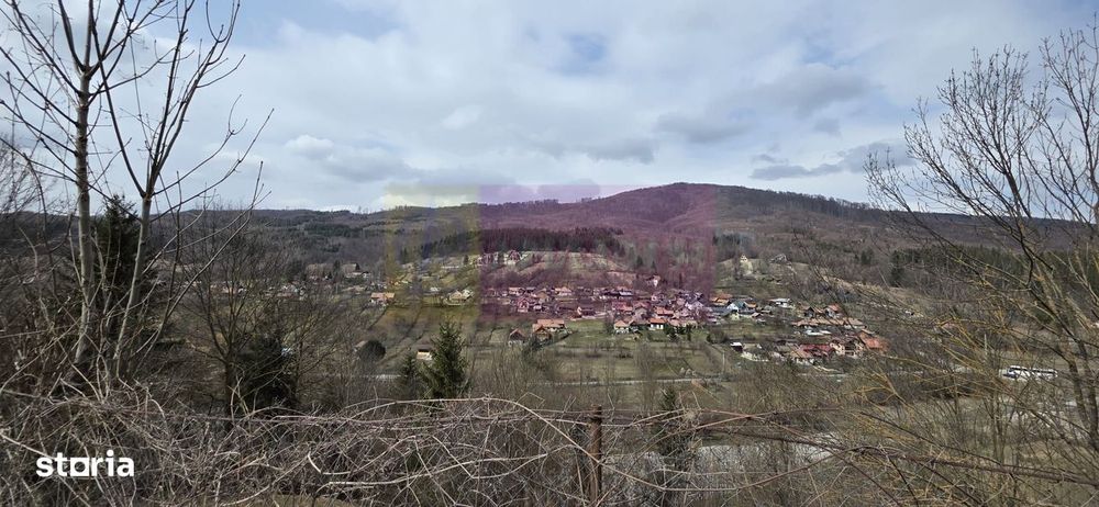 Teren intravilan de vanzare in Valea Doftanei