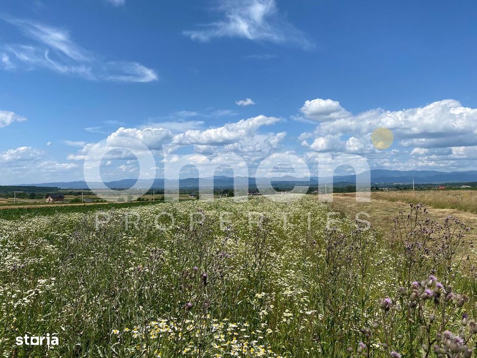 Teren de vanzare in Coas, zona linistita