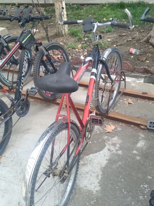 Vosiped sotiladi arzonga bonusiga